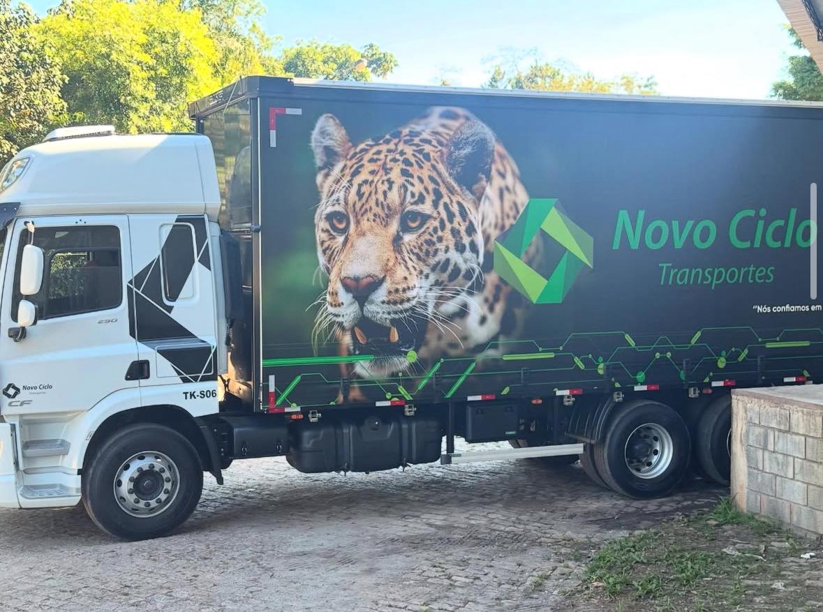 Visão interna da Matriz de São Paulo - Imagem 4